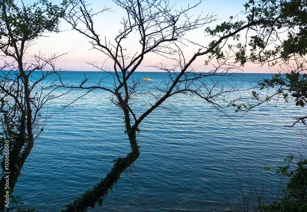 Naklejka premium View of the sea through the branches of a tree.
