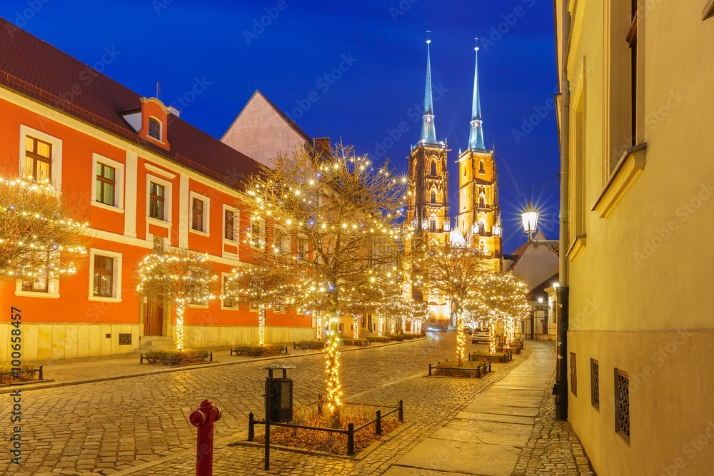 Fototapeta premium Cathedral of St. John at Cathedral Island or Ostrow Tumski at christmas night in Wroclaw, Poland