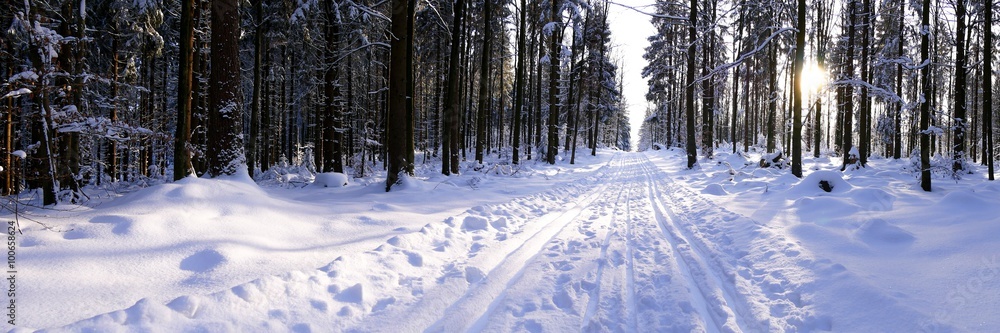 Winterlandschaft mit Langlauf Loipe