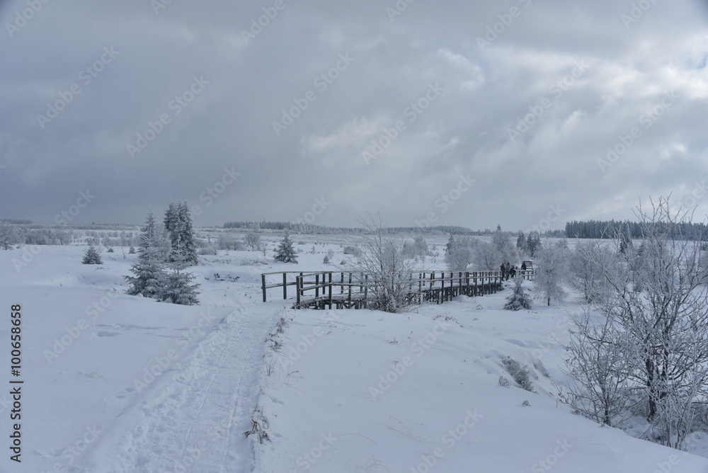 L'une des passerelles traversant les marécages en hiver au plateau des Hautes Fagnes en Belgique L'une des passerelles traversant les marécages en hiver au plateau des Hautes Fagnes en Belgique
