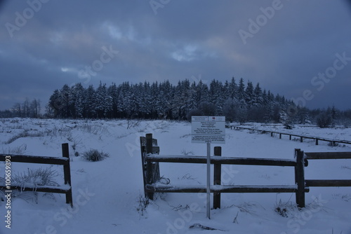 Wallpaper Mural Zone interdites aux chiens sous la neige au crépuscule au plateau des Hautes Fagnes en Belgique Torontodigital.ca