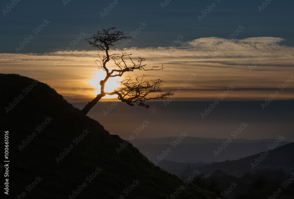 A stark bare silhouetted tree on the Black Mountain in South Wales
