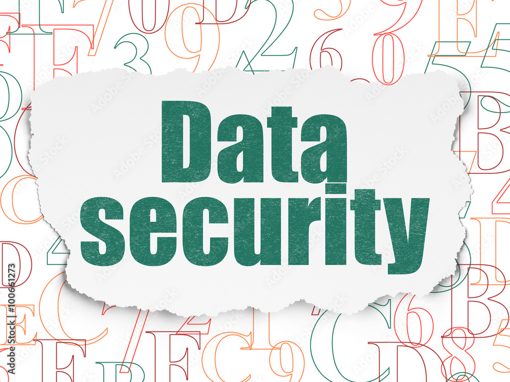 Fototapeta premium Safety concept: Data Security on Torn Paper background