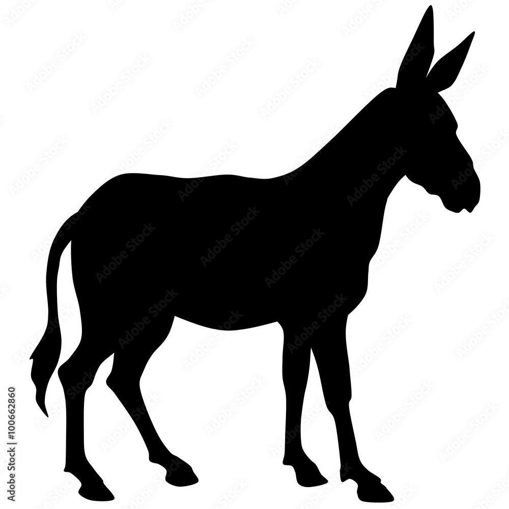 silhouette of a donkey