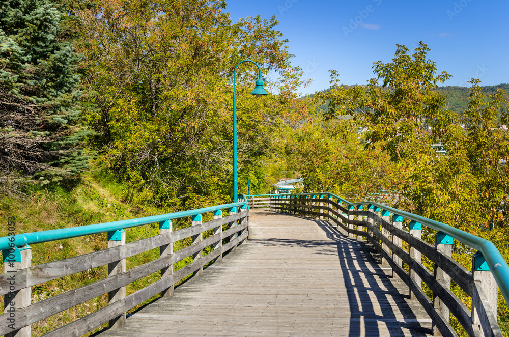 Walkway in an Autumn Park