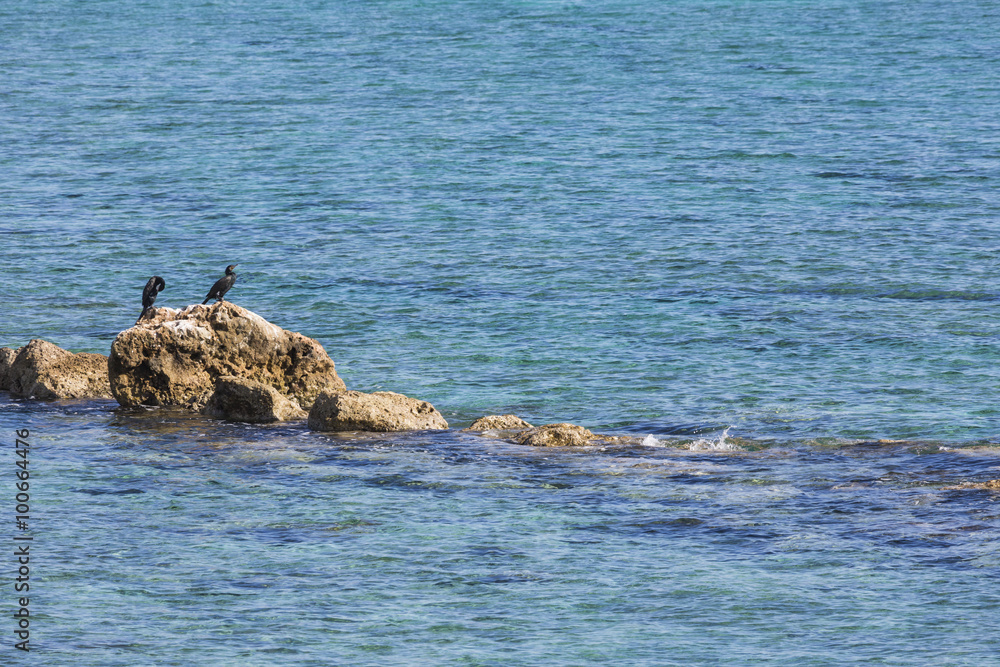 Fototapeta premium Mediterranean Sea.Cyprus