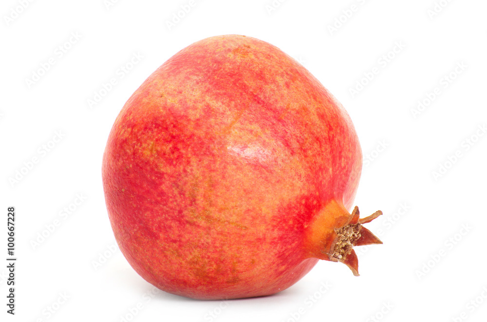 Pomegranate Pomegranate