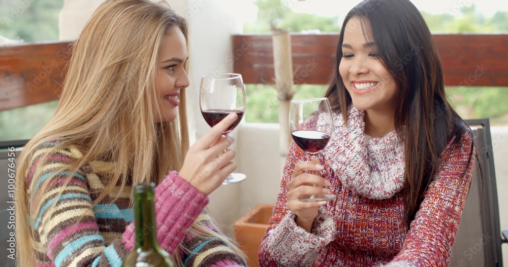 Two Pretty Girls in Winter Outfits Chatting at the Cafe While Having Glasses of Wine. Two Pretty Girls in Winter Outfits Chatting at the Cafe While Having Glasses of Wine.