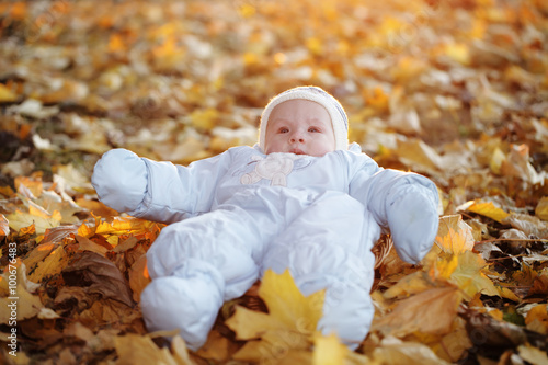 little boy outdoors autumn portrait