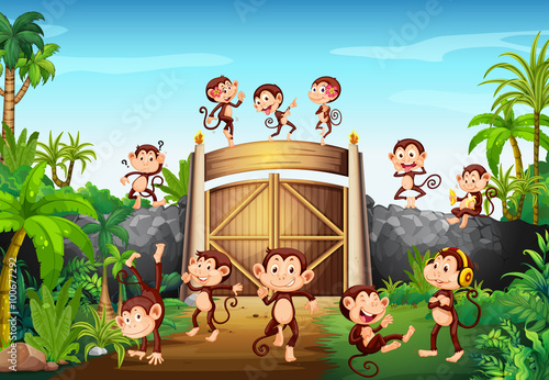 Monkeys having fun at the gate