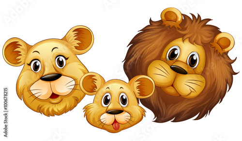 Family of lion with happy face