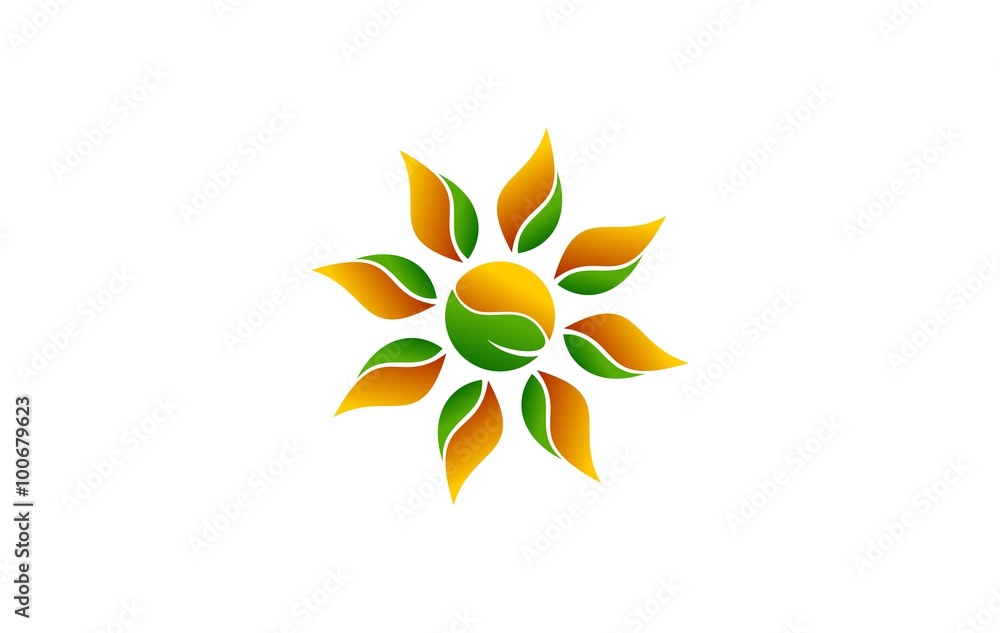 sun energy leaf sun energy leaf