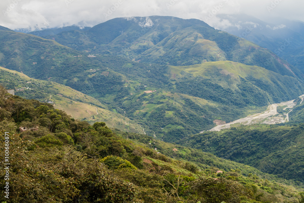 Mountains covered by forest near Coroico, Bolivia