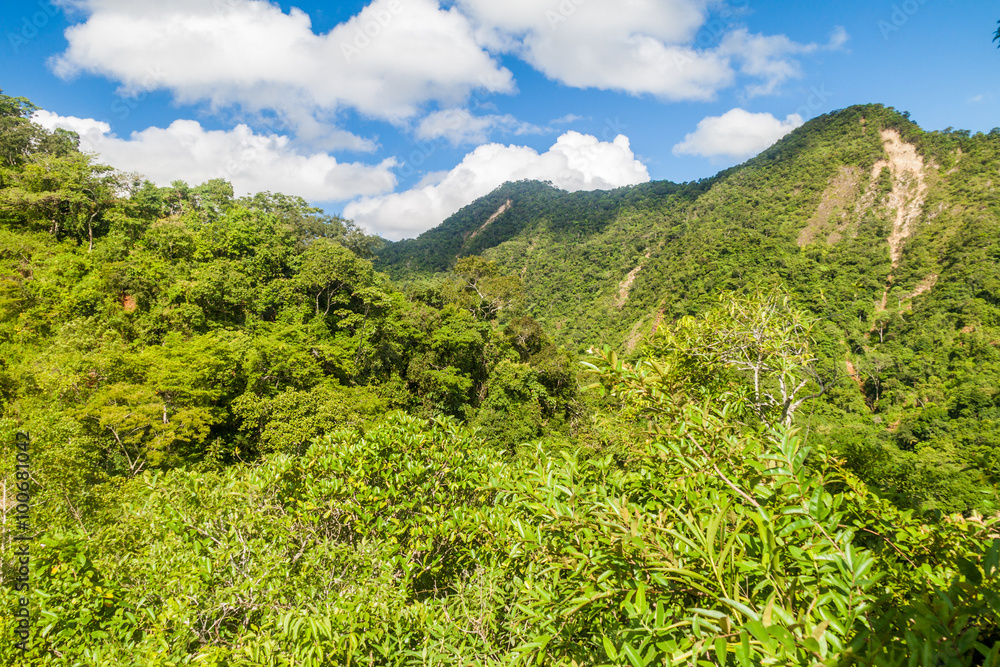 Jungle covering mountains near Rurrenabaque, Bolivia