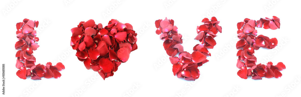 Love made of rose isolated on white background