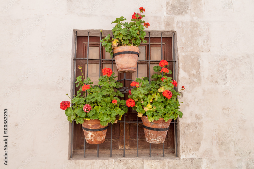 Window with flowers in Santa Catalina monastery in Arequipa, Peru