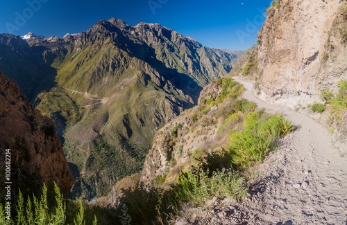 Trekking trail in Colca canyon, Peru