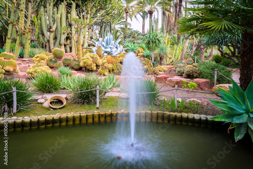 Fototapeta Naklejka Na Ścianę i Meble -  Fountain in the Botanical Gardens of El Huerto del Cura in Elche near Alicante in Spain.