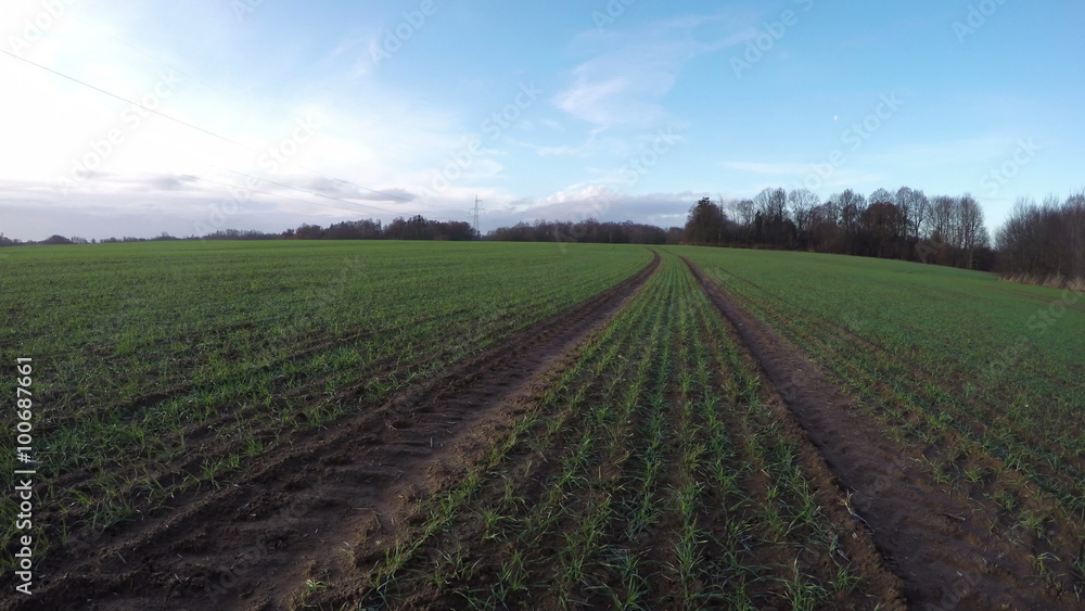 Tractor tracks through the field with clay soil and young green wheat on sunny autumn's day by the forest, time lapse 4K Tractor tracks through the field with clay soil and young green wheat on sunny autumn's day by the forest, time lapse 4K