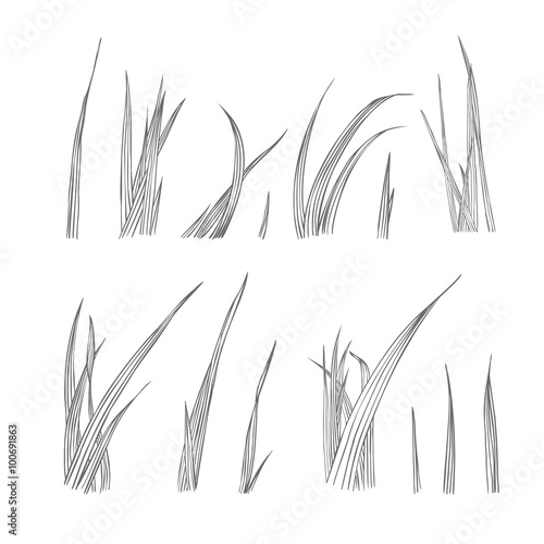 Collection of linear grass