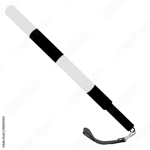 Police stick