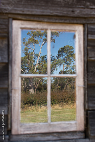 Reflection in Window
