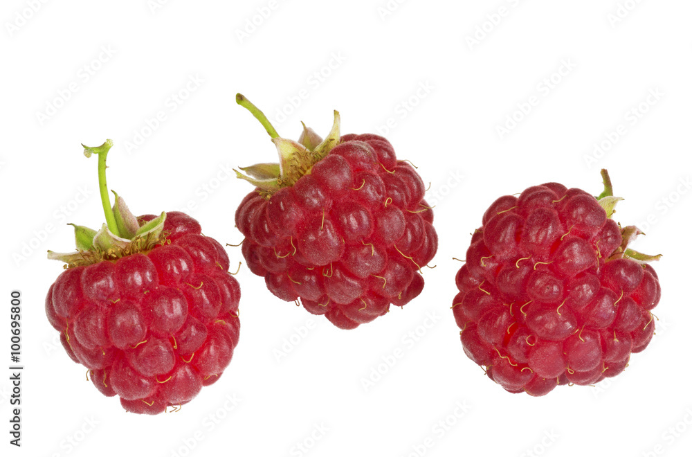 ripe raspberries isolated on white background close up ripe raspberries isolated on white background close up