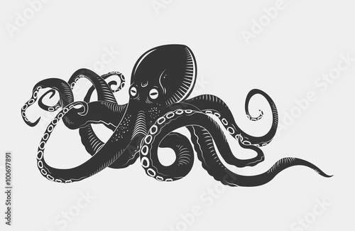 Print op canvas Black danger cartoon octopus characters with curling tentacles swimming underwater, isolated on white