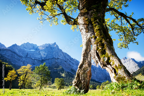 góry Karwendel