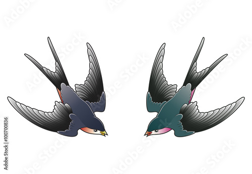 two swallows