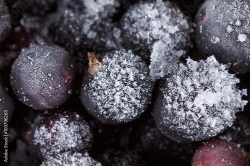 Black currant with ice