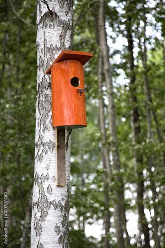 Bird House on a tree, nesting box