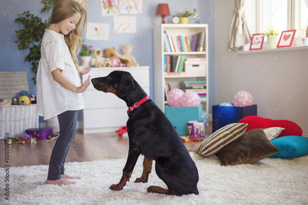 Schooling a dog demands a lot of patience Schooling a dog demands a lot of patience