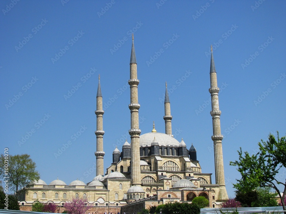 Selimiye Mosque in Edirne Turkey