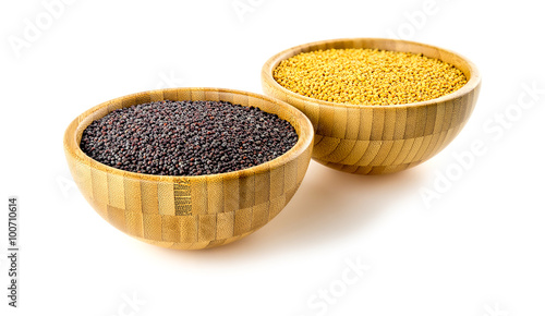 Studio isolated black, yellow mustard seed