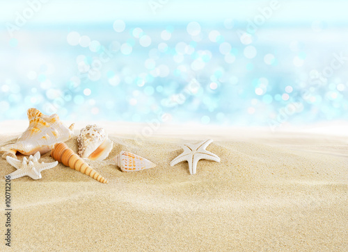 Sea shells on sunny beach