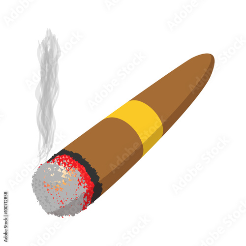 Brown cigar burned cartoon icon
