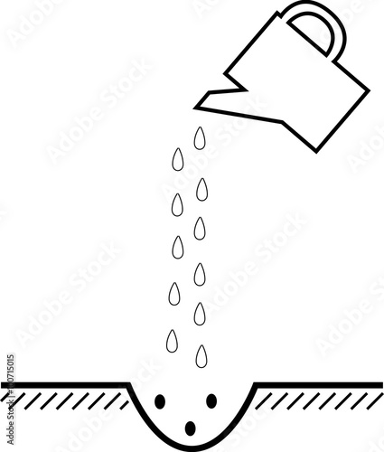 watering seeds of watering at planting
