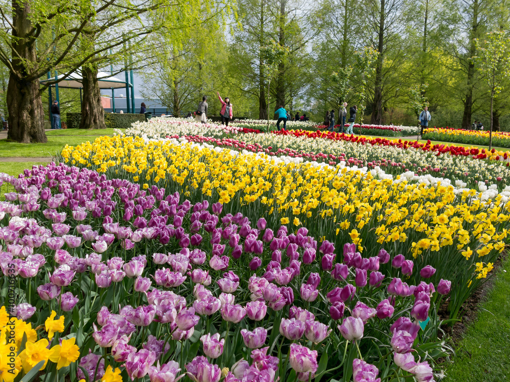 Tourists and flowers in spring in Keukenhof Gardens in Lisse, Holland, Netherlands