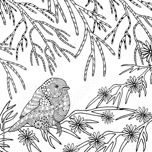 Cute bird coloring page