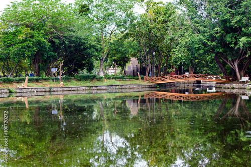 Beautiful garden with bridge and reflection in the lake