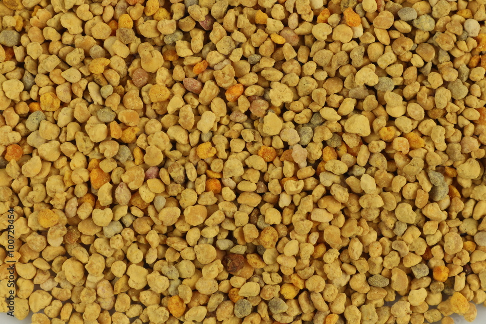 pollen grains pollen grains