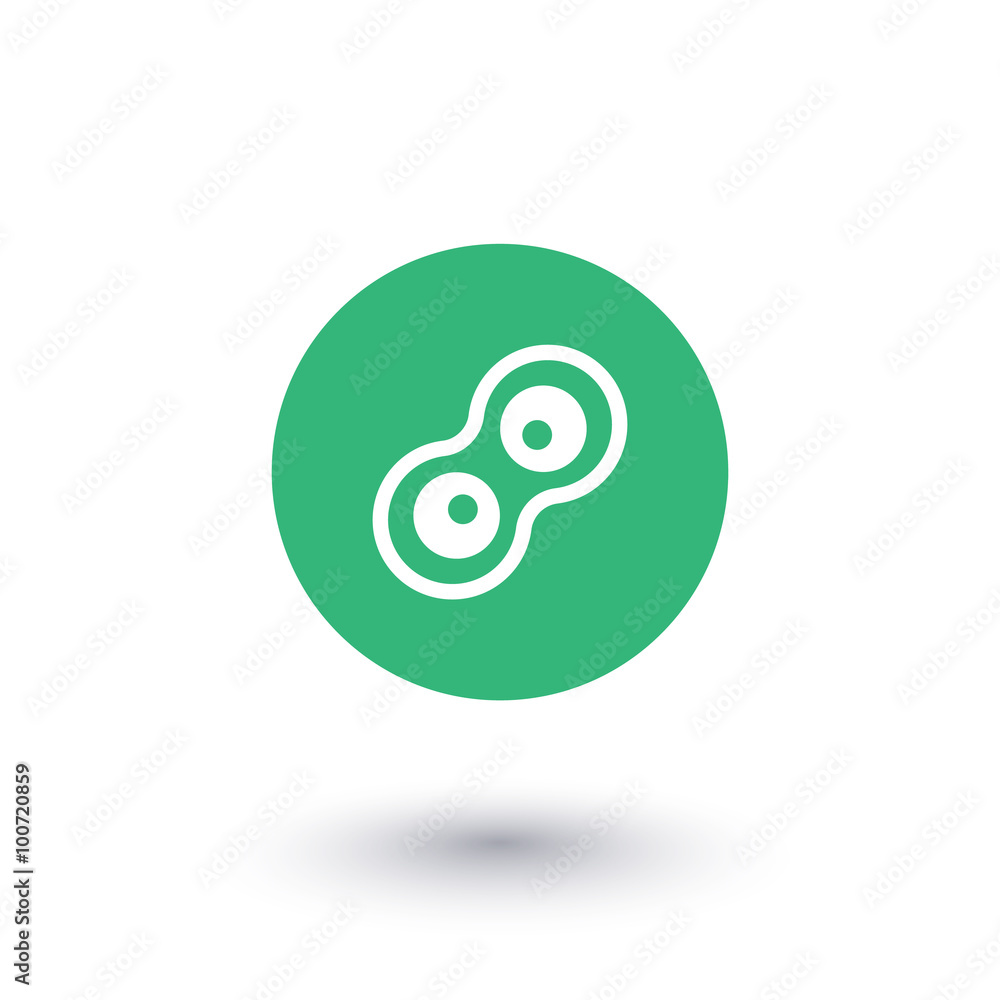 Cell division round icon, vector illustration Cell division round icon, vector illustration