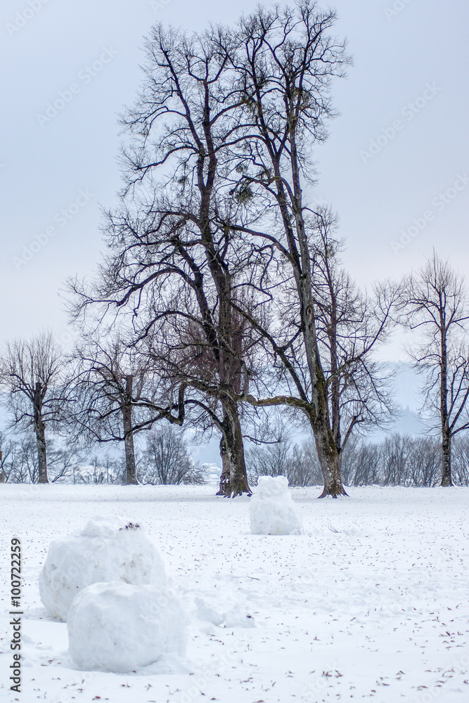 Winterliche Idylle Winterliche Idylle