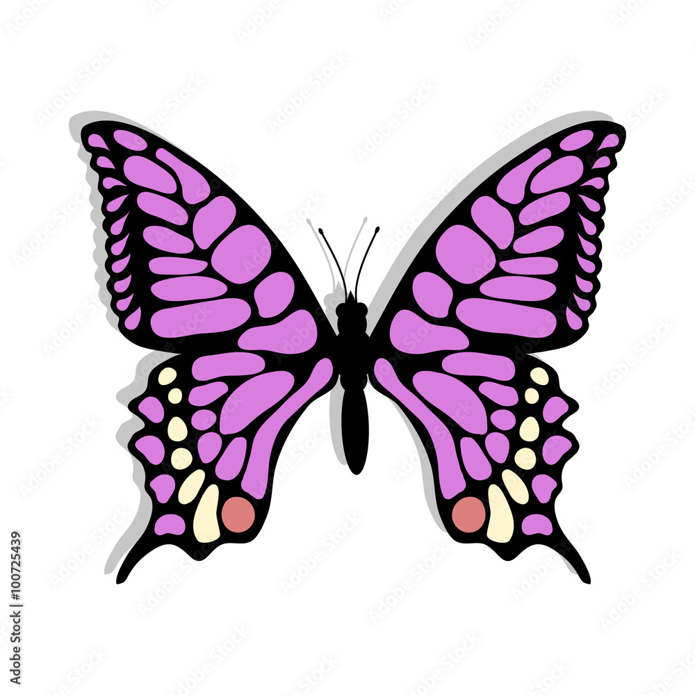 Beautiful butterfly Beautiful butterfly