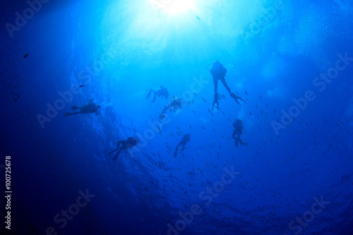 Scuba diving exploring coral reef in ocean © Richard Carey