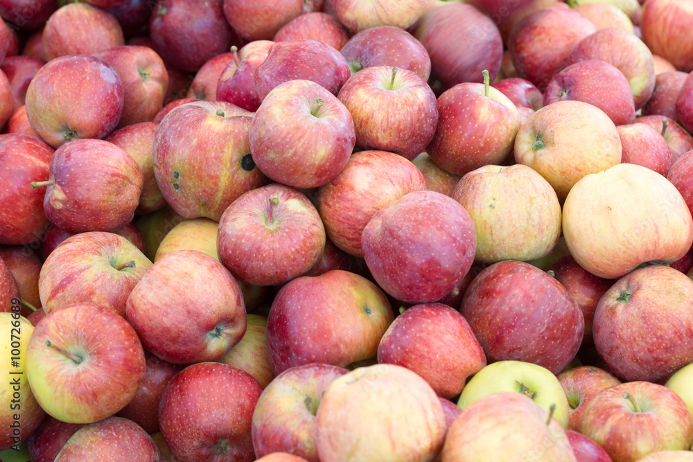 Lots of apples!/ Many many bright and very appetizing beautiful apples! Lots of apples!/ Many many bright and very appetizing beautiful apples!