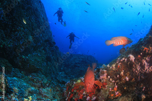 Scuba diving underwater coral reef sea ocean