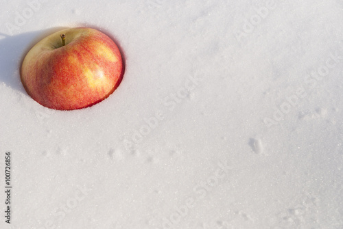 apple on snow