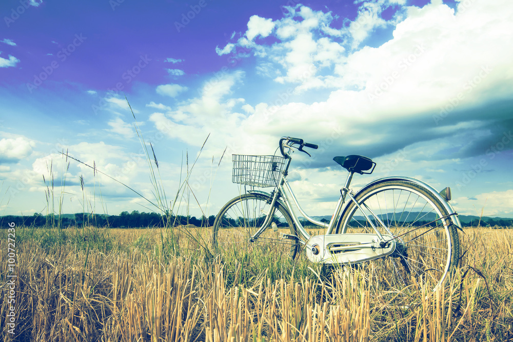 Naklejka premium Retro bicycle in grass field 